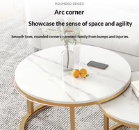 Table basse pour salon, usage domestique, style minimaliste moderne, petite table d'appoint pour appartement, table créative de style nordique, légère et luxueuse