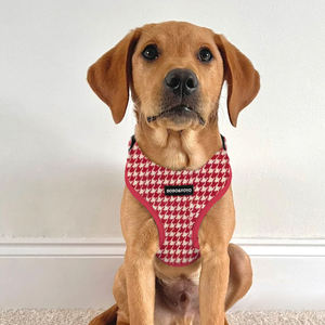 BOBO&<span class=keywords><strong>YOYO</strong></span> 2026 Nouveau Design Vente en Gros Luxe Écologique Polyester Boucle Logo Personnalisé Harnais et Laisse pour Chien Personnalisés - Product Image 6