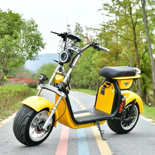 New Dropshipping YIDE Supply The Most Fashionable Citycoco 1500w/2000w 2 Wheel Electric Scooter For Adult Electric Motorcycle