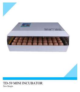 Incubadora de huevos automática de alta calidad, máquina para incubar huevos en Argel, oferta de 60 huevos en Amazon - Product Image 4