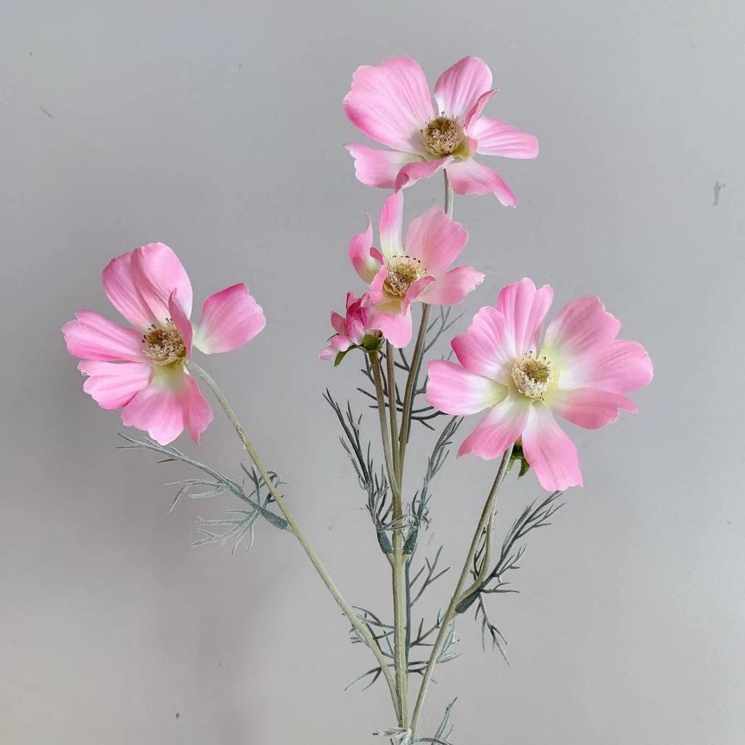 Nouveau rose-nouveau rose clair