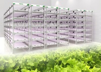 Plus rentable que le système d'agriculture verticale en tour hydroponique pour la culture commerciale de la laitue