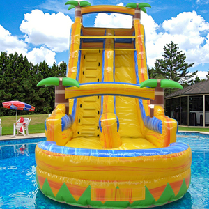 Hot bán nhà máy bán hàng trực tiếp đa màu lựa chọn cây cọ <span class=keywords><strong>Inflatable</strong></span> trượt nước với Hồ bơi nhỏ - Product Image 1
