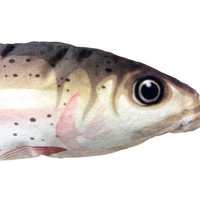 Grands jouets en forme de poisson pour chats et chiens, jouet rembourré à motifs imprimés avec papier bruyant