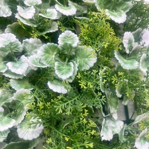 Panneau mural vertical en herbe d'eucalyptus artificielle verte, paysage rural, décoration intérieure, plante artificielle tropicale en PE, design feuilles de <span class=keywords><strong>sapin</strong></span> - Product Image 3