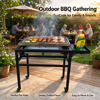 Barbecue au charbon de bois pliable multifonctionnel portable pour barbecue en plein air et rôtissage de poisson
