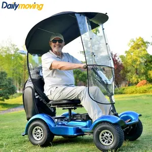 Voiturette de golf électrique mini monoplace voiturette de golf la moins chère