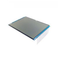 Modul LCD 7 Segmen Monokrom GW028 Berkualitas Tinggi, Layar Kustom untuk Sepeda Motor TVS WEGO dengan Fitur Anti-Silau Positif HTN