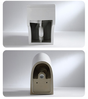 Toilettes monobloc en céramique modernes pour salle de bain, articles sanitaires, vente chaude directe usine chinoise