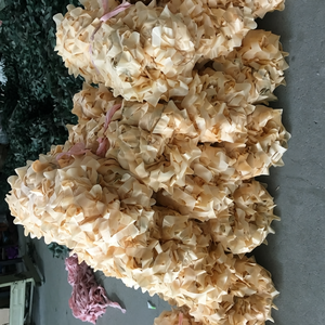 <span class=keywords><strong>Filet</strong></span> <span class=keywords><strong>de</strong></span> <span class=keywords><strong>camouflage</strong></span> <span class=keywords><strong>couleur</strong></span> <span class=keywords><strong>sable</strong></span>, <span class=keywords><strong>filet</strong></span> <span class=keywords><strong>de</strong></span> <span class=keywords><strong>camouflage</strong></span> désertique brun pour la chasse et le <span class=keywords><strong>camouflage</strong></span> en extérieur - Product Image 6