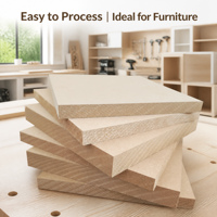 Tablero de MDF Lijado Ecológico XLD de 18 mm E1 para Fabricación de Muebles de Cocina, Venta al por Mayor B2B, Suministro Directo de Fábrica