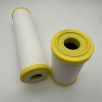 Noyau de filtre à eau en céramique microporeuse 0,1-0,2 μm, 10 pouces, en diatomite poreuse, accessoires pour purificateur d'eau de robinet de cuisine