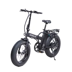 Eu Warehouse Long Range Foldable High Power 48V 20 Inch Fat Tire Electric Folding Bike For Adults