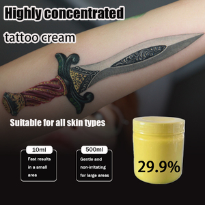 Crema para Tatuajes y Maniquí de Práctica 2025, Nuevo, para Estudios Profesionales y Centros de Capacitación, Servicio OEM Personalizado al por Mayor - Product Image 3