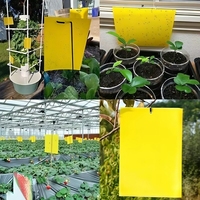 Hete Aanbieding: Gel-klittenplaten voor insectenbestrijding, voor thuis & tuin