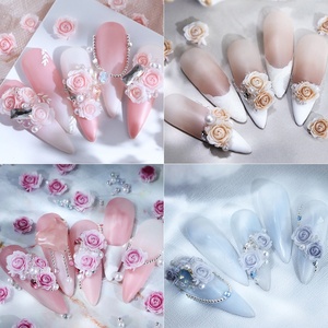 อุปกรณ์ตกแต่งเล็บรูปดอกกุหลาบไล่เฉดสี 30 ชิ้น พร้อมลูกปัดเหล็กประดับมุกและทรายลายมังกร สำหรับตกแต่งเล็บ DIY แบบครอส-บอร์เดอร์ - Product Image 4