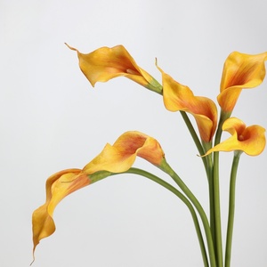 <span class=keywords><strong>Flores</strong></span> Artificiales <span class=keywords><strong>de</strong></span> Lirio Calla <span class=keywords><strong>de</strong></span> Tacto Real, 53 cm, <span class=keywords><strong>Plástico</strong></span> Suave, Color Blanco, para Decoración del Hogar y Bodas, Novedad 2026 - Product Image 4