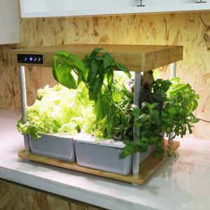 Sistema Hidropónico Inteligente con Lámpara <span class=keywords><strong>de</strong></span> Crecimiento para Plantas <span class=keywords><strong>de</strong></span> Bambú Jardín Hidropónico Inteligente para Escritorio <span class=keywords><strong>de</strong></span> Oficina Interior - Product Image 1