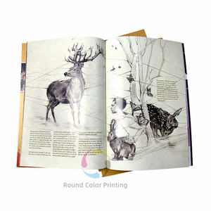 Individuelles Weichdeckpapier A4/A5 Größe Offset gedrucktes Papier Karton Magazin Geschichte Publikation Broschüre Broschüren Katalog Buchdruck - Product Image 5