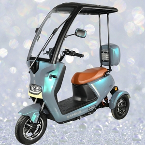 Triciclo Eléctrico de 3 Ruedas Tipo Motocicleta con Carrocería Abierta de 60V de Wuxi, China para Personas con Discapacidad - Product Image 6