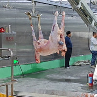 Solution industrielle d'abattage du bétail, ligne de transformation de la viande de chèvre et d'agneau
