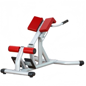 CZFIT Équipement de fitness de haute qualité pour l'entraînement de force et la musculation : Chaise romaine d'extension dorsale pour salle de sport - Product Image 3