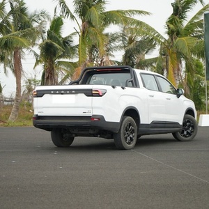 Véhicule utilitaire électrique chinois en promotion : RD King Kong Long Range 4x4 Rada - Product Image 5