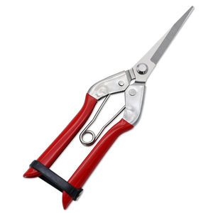 Nice <b>Pruning</b> Shears Stainless Steel 65mm Blade Garden <b>Tree</b> Trimming <b>Tools</b> Orchard Grape Picking - Product Image 5