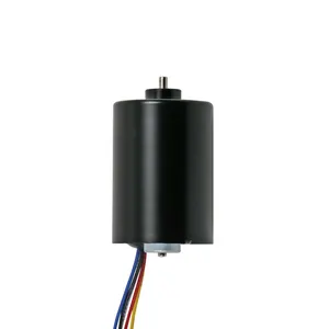 Xinhui mới phát triển 3650 6V 12V không chổi than DC Motor 10000 vòng/phút cho các công cụ điện