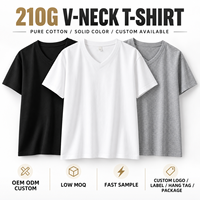 T-shirt col V personnalisé 210G 100% coton pour homme, tee-shirt vierge épais, fabricant OEM ODM à marque privée, faible MOQ
