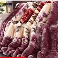 Amity Factory verdickte Decke gedruckt Winter Doppels chicht warme Decke Home Raschel Cover Decke