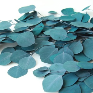 Bouquet de feuilles d'<span class=keywords><strong>eucalyptus</strong></span> séchés, 10 pièces, plantes, fleurs brunes, tige unique, pour décoration de mariage - Product Image 3