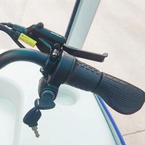 Vélo électrique à <span class=keywords><strong>4</strong></span> <span class=keywords><strong>roues</strong></span> 750w avec boîte de livraison de cargaison arrière - Product Image 5