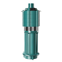Pompe submersible multi-étages domestique 220V, haute pression, faible pression, grand débit, pour puits profond, irrigation agricole, OEM