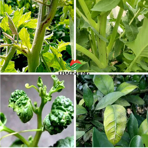 <span class=keywords><strong>Herbicida</strong></span> carbamático selectivo <span class=keywords><strong>para</strong></span> aplicación foliar posemergente. Grado técnico: pureza ≥97%, calidad estable. - Product Image 3