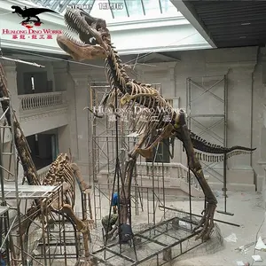 Thực Bộ Xương Khủng Long Tyrannosaurus Skeleton Hóa Thạch Để Bán - Product Image 2