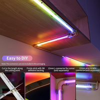 Bande lumineuse LED RGB adressable Raymates avec garantie de 3 ans, SPI RGB IC WS2811, 720 LED/m, DC24V, 12 mm, SPI RGB IC, CE ROHS