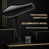 Sèche-cheveux ionique professionnel mini pour salon, buse concentratrice haute vitesse, séchage rapide pour usage domestique et hôtelier