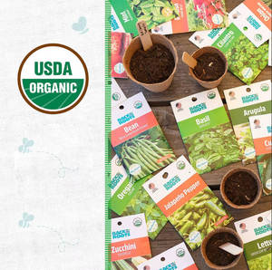 Oranic Herb & Veggie Lot de 20 légumes pour pots de fleurs et jardinières - Product Image 3
