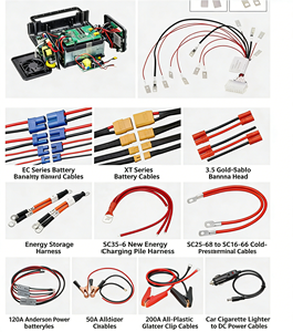 Câble adaptateur XH2.54, un vers deux, avec bornes, espacement 2,54 mm, 1 vers 2, 2 connecteurs femelles, section 0,22 mm² - Product Image 4