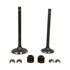 Wholesale <b>Motorcycle</b> Engine Valve,<b>Motorcycle</b> Engine Intake Valve <b>Exhaust</b> Suitable for HorwinCG350 HW350 HW300 LF300 - Product Image 2