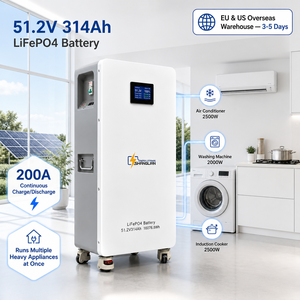แบตเตอรี่เก็บพลังงานแสงอาทิตย์แบบออฟกริด 16kWh 51.2V 314Ah พร้อมระบบตรวจสอบผ่านคลาวด์ WiFi Smart BMS 6000+ รอบการใช้งาน สำหรับบ้านเคลื่อนที่ คลังสินค้า EU - Product Image 2