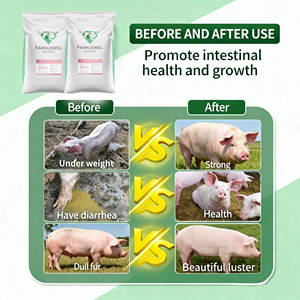 Additif alimentaire à <span class=keywords><strong>l</strong></span>'oxyde de zinc FARMJEWEL (minéraux de qualité alimentaire, oligo-é<span class=keywords><strong>l</strong></span>éments) Propriétés semblables aux vitamines Bypass <span class=keywords><strong>gastrique</strong></span> efficace <span class=keywords><strong>pour</strong></span> les porcs - Product Image 4