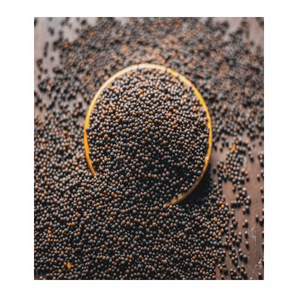Semillas de Mostaza Negra Natural, Semillas Enteras, Especias de Primera Calidad con Textura Consistente y Aplicaciones Culinarias - Product Image 3