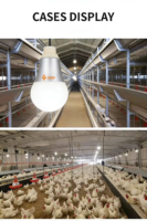 Lámpara LED Regulable para Ganado MUYE WUP E27 48V, Bombilla para Aves de Corral de 5/7/9W, para Cría de Pollos y Cerdos, Compatible con Regulador de Intensidad de 0-10V