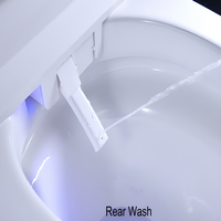 Toilette intelligente monobloc à ouverture et fermeture automatiques, avec bidet chauffant, massage, mode enfant, sans pression d'eau, vente en gros Chine