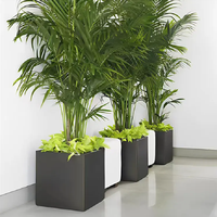 Jardinière en acier noir pour l'extérieur, résistante à la déformation, longue durée de vie, en métal, pour la plantation en jardin, antirouille