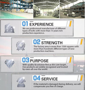 Bán Chạy Nhất Tất Cả Các Kích Thước Thả Trong Neo Sản Xuất Tại Trung Quốc 304 Ss M8 Thả Trong Neo - Product Image 6