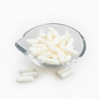 Capsules de gélatine halal taille 00 et 0, fabrication directe d'usine JP, matière première HPMC, certifiées GMP, vente en gros à bas prix