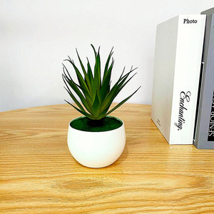 Planta Suculenta Artificial Qi Xing de 18 cm, PVC Suave, Decoración para el Hogar - Product Image 1